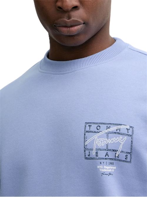 Felpa girocollo con grafica sul retro Tommy Jeans | DM0DM22366C5X